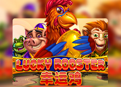 Lucky Rooster