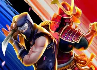 Ninja Vs Samurai